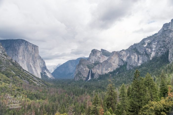 Yosemite Valley